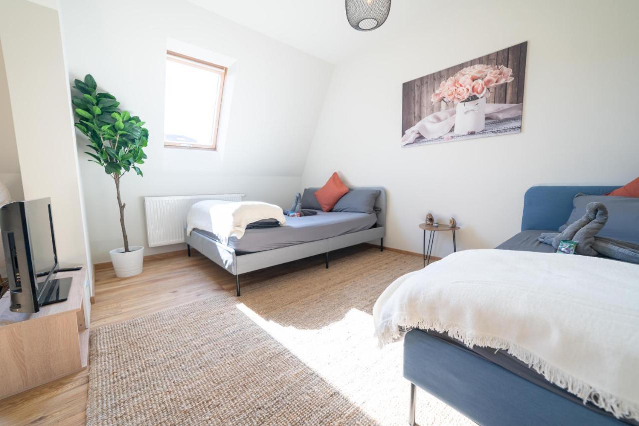 Fullhouse - Zwickau - F45 Apartments - Smarttv - Nespresso מראה חיצוני תמונה